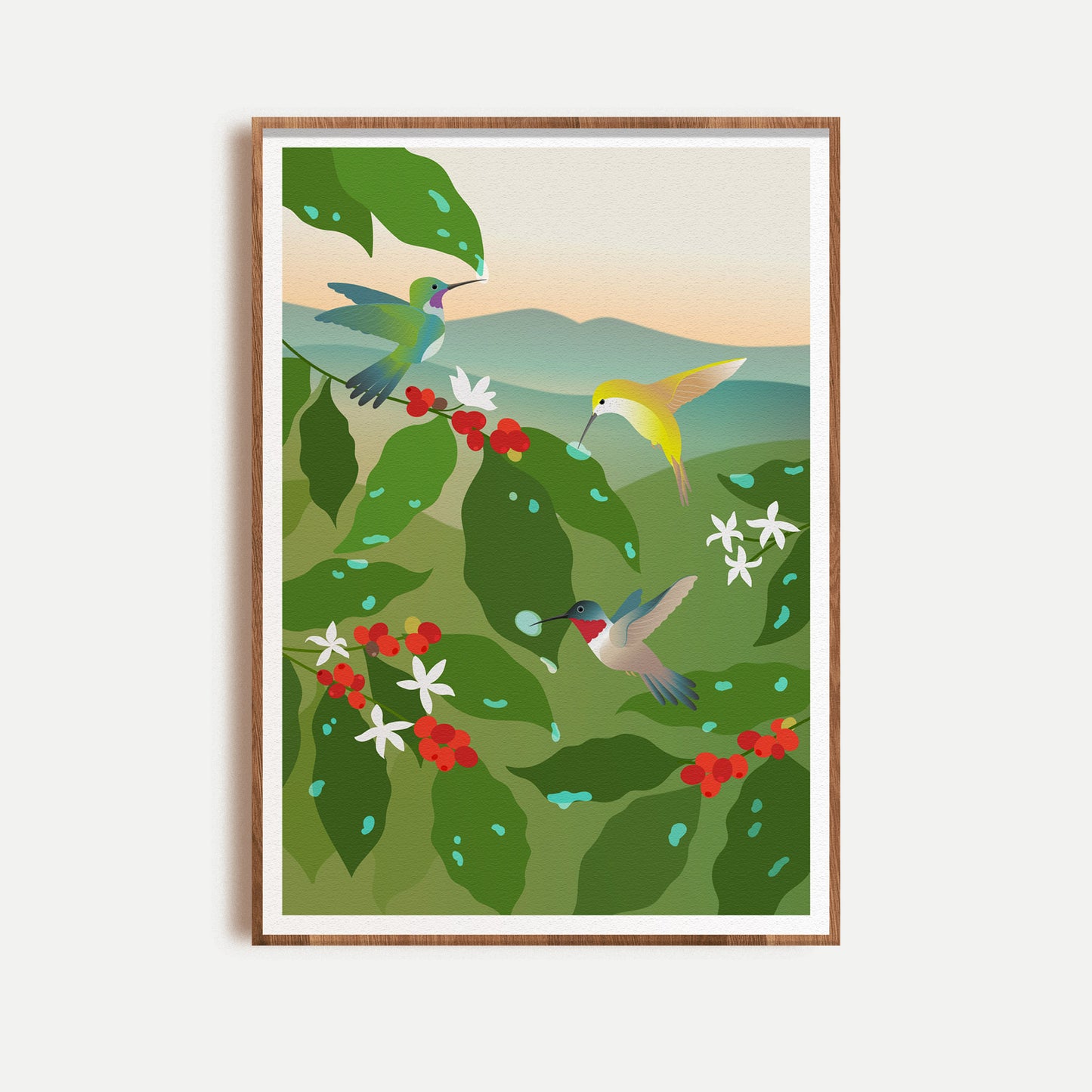 Hummingbird Coffee Poster